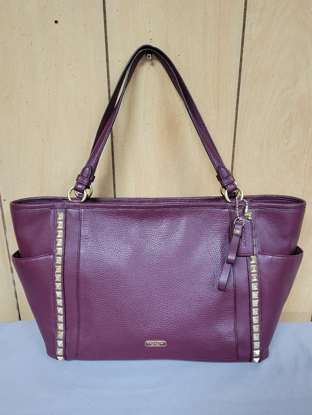 Coach Park Leather Pyramid Studded Carrie Tote